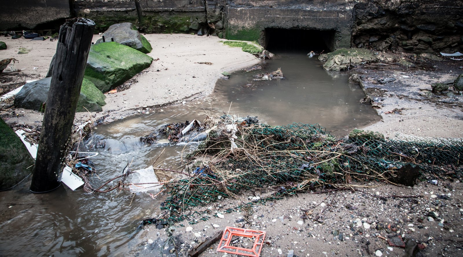 art-of-sandy-mo-staten island 2-81.jpg